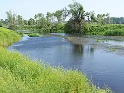 Среднее течение Тясмина