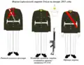 Форма гвардейцев на январь 2015 г.