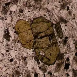 Разрез идиоморфного включения в трахите (аншлиф, поля­ри­за­ци­он­ная микро­ско­пия, вид с одним николем)