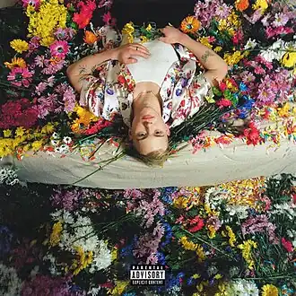 Обложка альбома Тревор Дэниел «Nicotine» (2020)