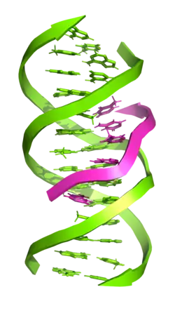 Трёхцепочечная ДНК31 октября 2021