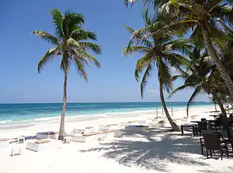 Пляжи муниципалитета