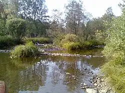 Нижнее течение реки Тыгын