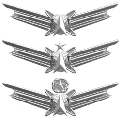 Знак офицера Космических сил