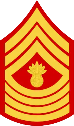Master Gunnery Sergeant