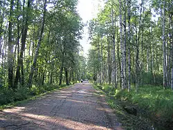 Бывший участок Фермского шоссе в Удельном парке