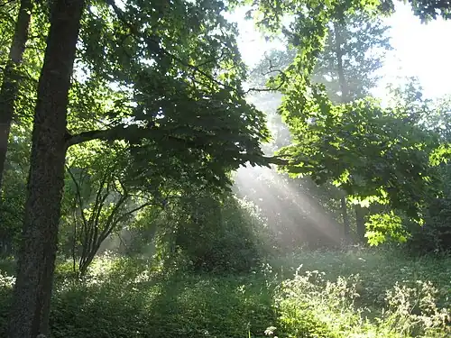 Мызный парк