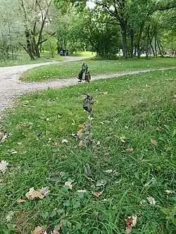 Молодое деревце в парке, погибшее от постоянных испражнений собак, хозяева которых игнорируют запрет на выгул собак и систематически не убирают за ними (сентябрь 2024 г.)