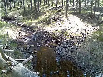 Впадение безымянного ручья в Правую Сарангу