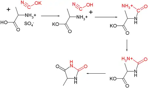 Urech Hydantoin synthesis