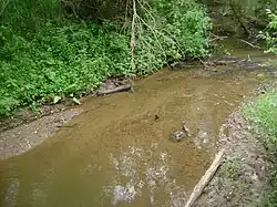 Река близ устья летом 2011 года