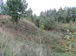 Восточная куртина и ров.