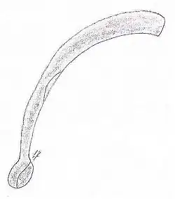 Валай таде, также катария, dira jungee — деревянный бумеранг. Церемониальные изготовлялись из слоновой кости, украшенной серебром и медью. Является эмблемой мужества. Индия