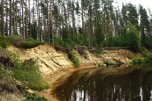 Берег реки Мустйыги