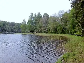 Вид на побережье озера Валгума около впадения реки Слоцене весной 2011 года