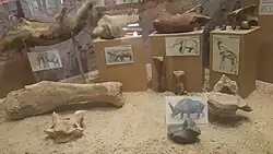 Кости различных первобытных животных