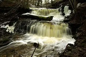 Водопад Вазаристи в деревне Паркси