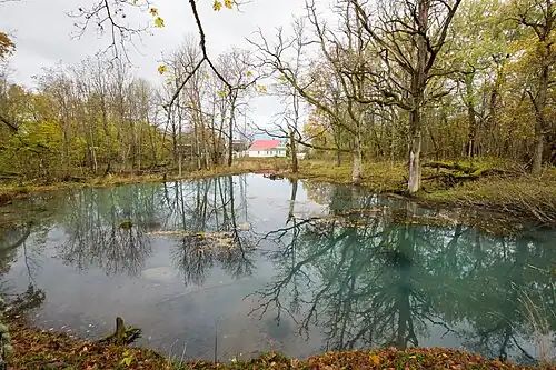 Пруд в бывшем усадебном парке (2020 год)