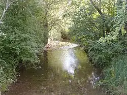 Река Соннет[фр.]