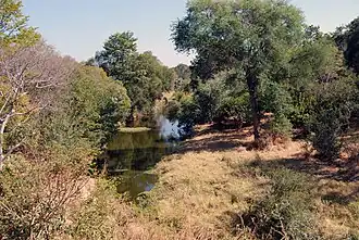 Национальный парк Замбези возле водопада Виктория