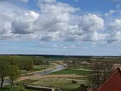 Требель в низине