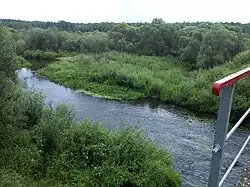 Вид на нижнее течение Тальки с моста около одноимённой деревни летом 2013 года