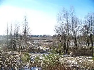 Вид на деревню с южной окраины Сауровского кладбища.