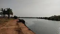 Жеба около города Бафата