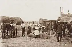Молотьба в эстонской деревне Учкуй-Тархан. 1900—1910 гг.