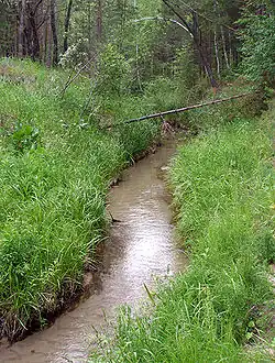 Река Власиха около 150 м выше устья