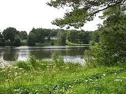 Водохранилище Вока летом