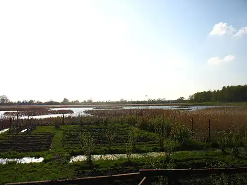 Заливные луга