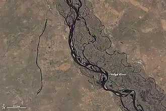 Волга и водохранилище Крива Лука. Спутниковый снимок (водохранилище слева)