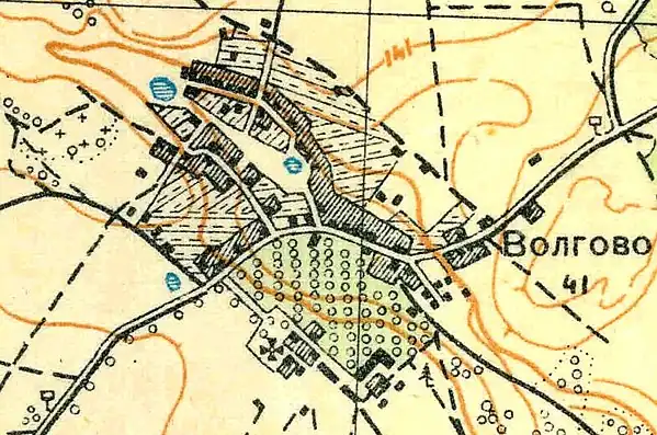 План деревни Волгово. 1931 год