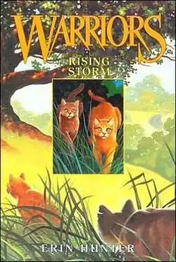 Обложка англоязычного издания