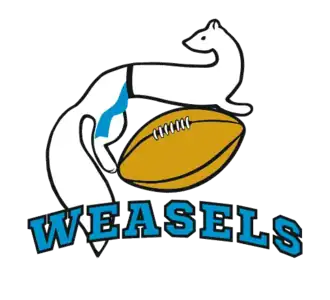 Логотип команды «Ласки»