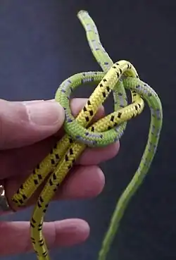 Ткацкий узелИспользуют ткачи для соединения оборвавшейся нити