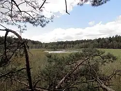 Das Weiße Fenn Marzahne