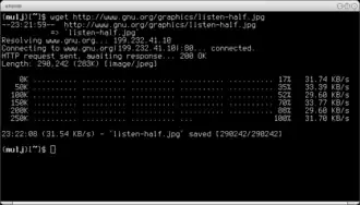 Скриншот инструмента Wget