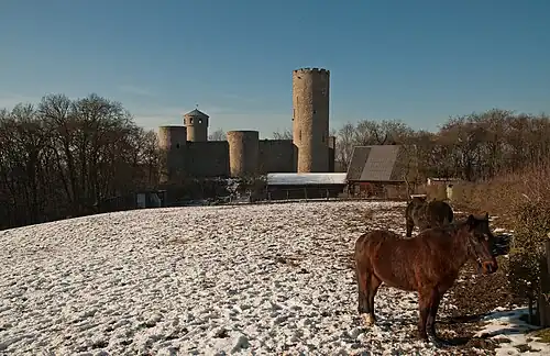 Вид замка в зимнее время