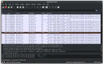 Скриншот программы Wireshark