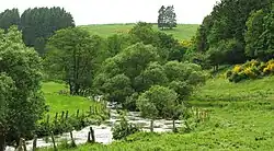 Река Вильц весной 2008 года