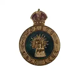 Почётный знак Женской земледельческой армии