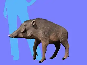 Реконструкция