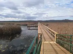 Wye Marsh near Midland, ON
