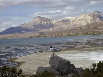 Вид с озера Чунгара, слева от центра