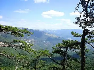 Ялтинский заповедник. Вид с г. Пендикюль