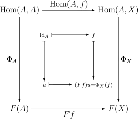 Доказательство леммы Йонеды