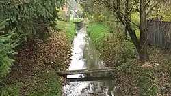 Верховье Страдуни в селе Завишице[пол.] осенью 2016 года