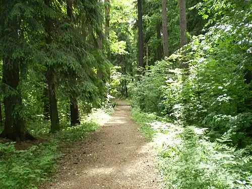 Парк «Загородное»